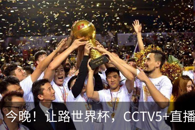 今晚！让路世界杯，CCTV5+直播中国女排VS法国，小将领衔冲击5连胜