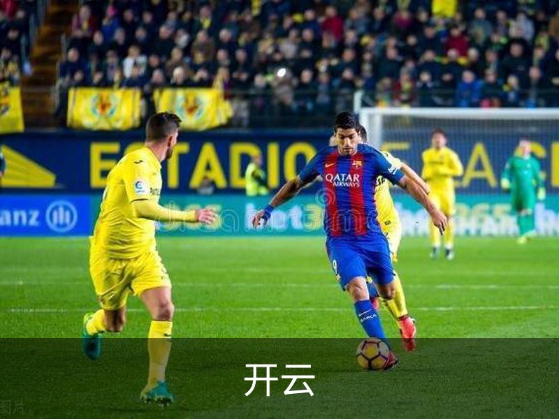 开云简介