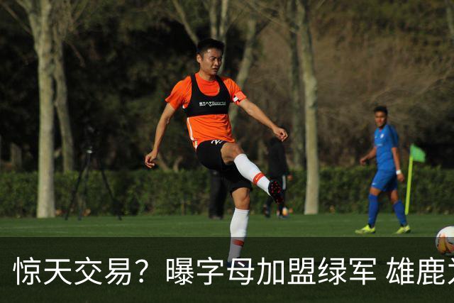 惊天交易？曝字母加盟绿军 雄鹿为布朗寻找第三方
