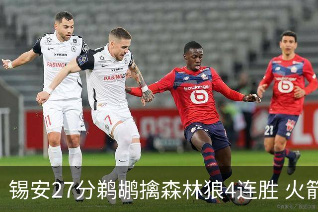 锡安27分鹈鹕擒森林狼4连胜 火箭送篮网5连败