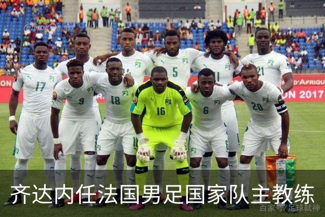 齐达内任法国男足国家队主教练